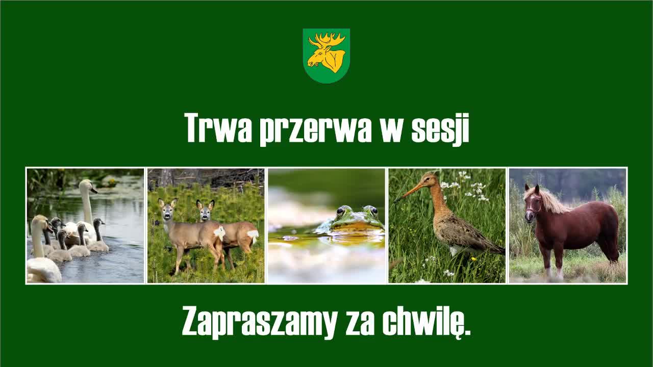 Sesja VI/2019 Rady Miejskiej w Łochowie