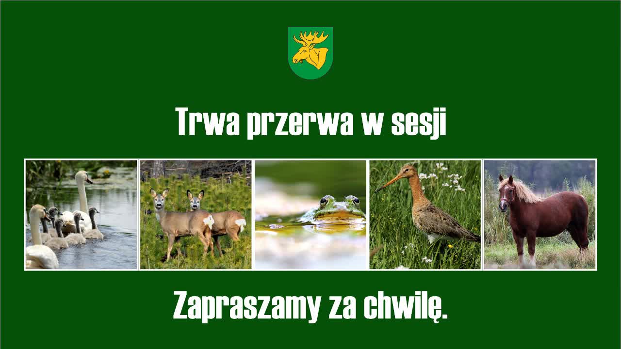 Sesja VIII/2019 Rady Miejskiej w Łochowie